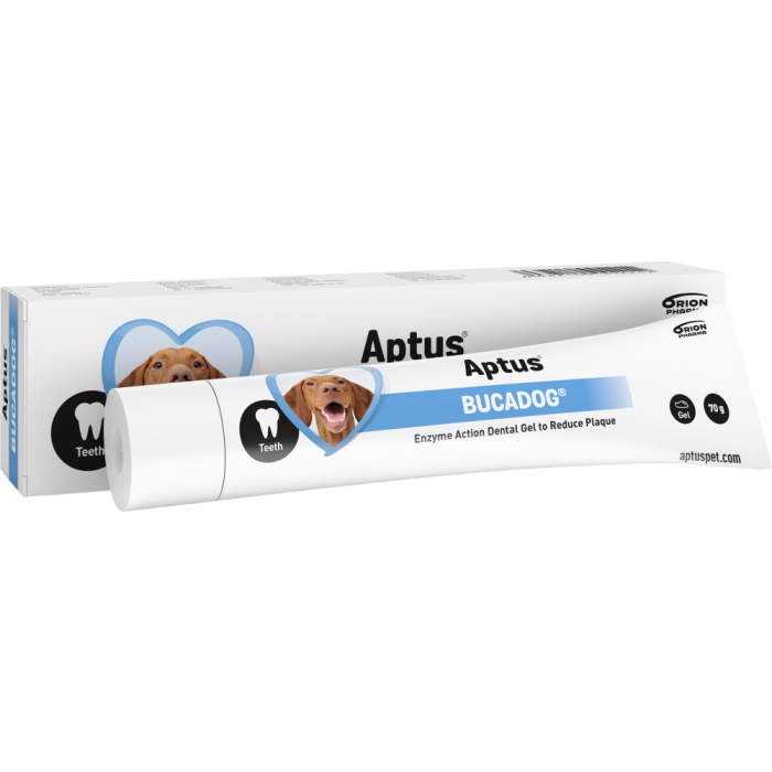 1000016416_APTUS_BUCADOG_HAMMASGEELI_70_g_pakkauskuva_Pakkauskuva19220_jpg